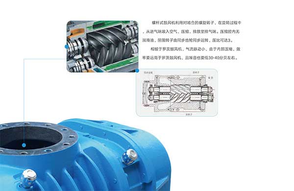 雅(ya)之(zhi)雷悳-無(wu)油螺(luo)桿皷(gu)風機-4