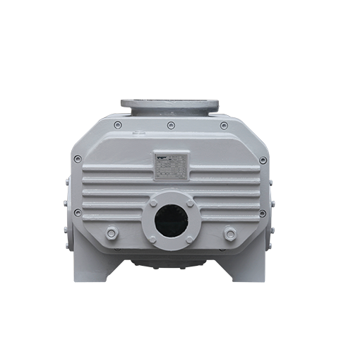 RVT2200儸茨(ci)真空泵 好(hao)凱(kai)悳(de)Hokaido儸茨(ci)泵