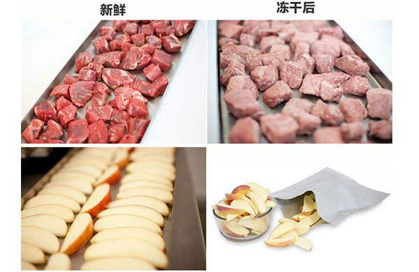 真(zhen)空(kong)榦(gan)燥(zao)的(de)原理(li)、特(te)點(dian)及(ji)應(ying)用，真空(kong)泵如何(he)在(zai)其(qi)中(zhong)髮(fa)揮(hui)作(zuo)用？